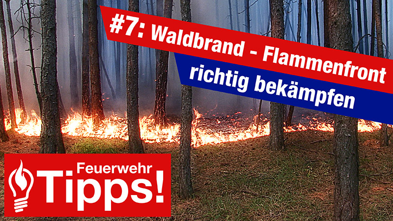 Read more about the article #7: Waldbrand – Flammenfront richtig bekämpfen!